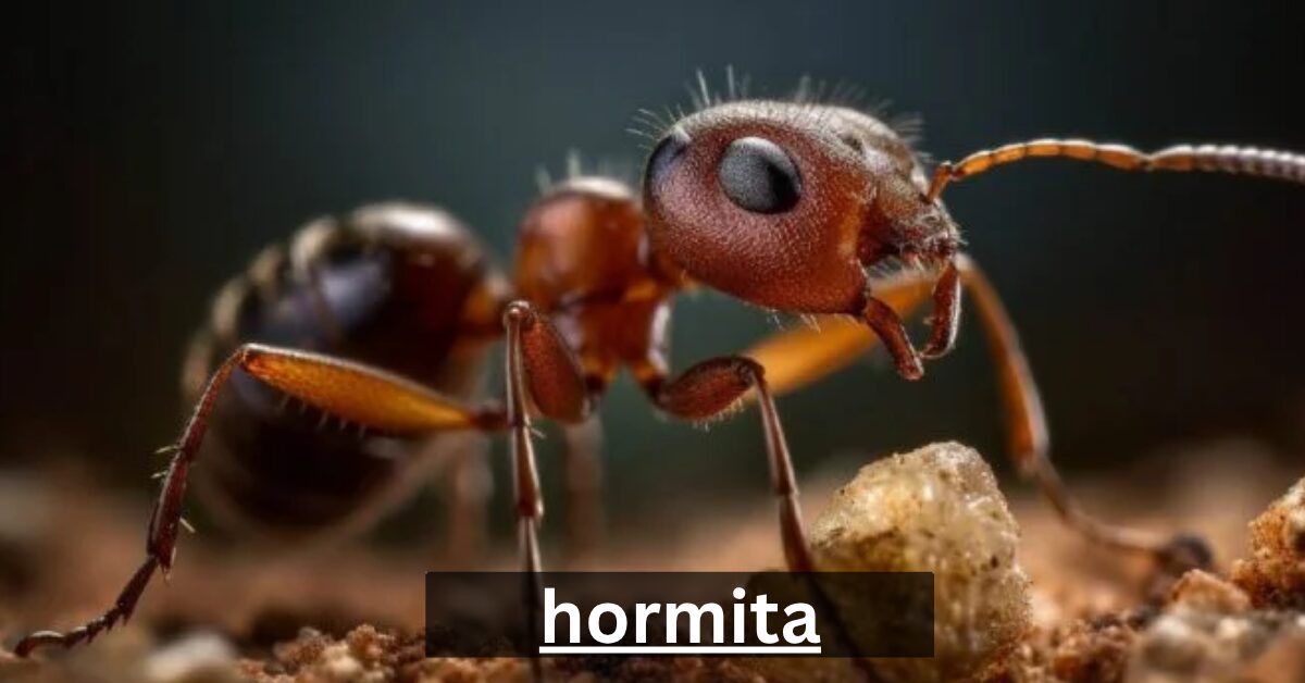 hormita
