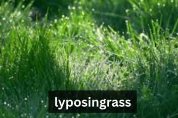 lyposingrass