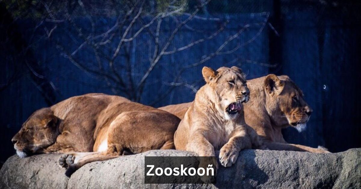 Zooskooñ