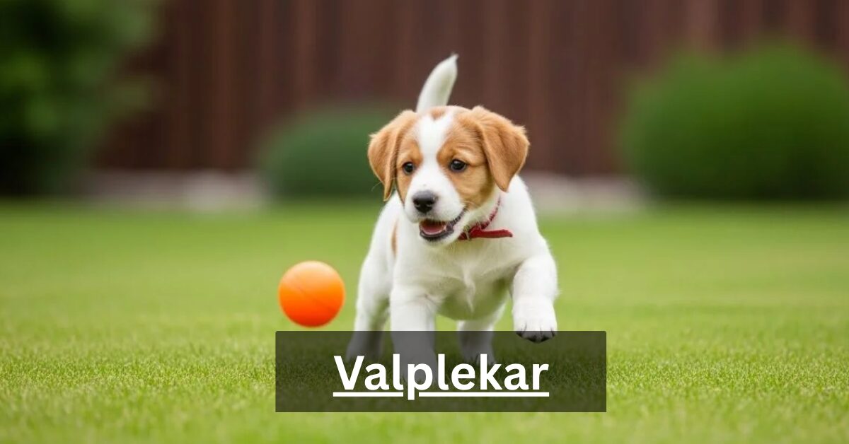 Valplekar